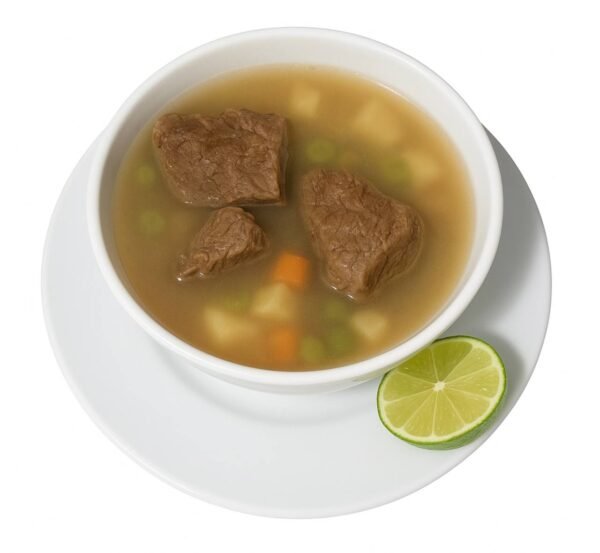VEGETABLES SOUP WITH BEEF